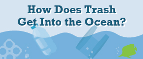 Ocean Trash Infographic